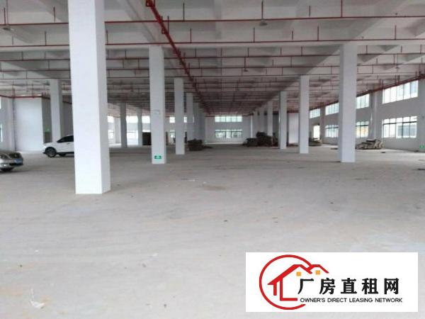 
		秋长超靚标准厂房1350平有消防配套齐全
	
