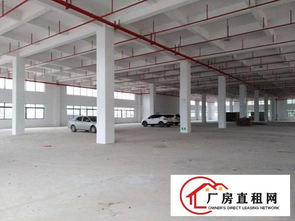 
		秋长超靚标准厂房1350平有消防配套齐全
	