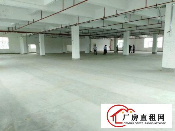 
		惠阳秋长标准厂房1200平有喷淋有环评
	