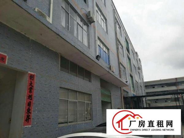 
		秋长维布原房东6000平厂房出租，白菜价13元
	