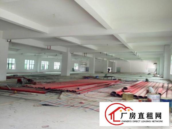 
		秋长茶园市场全新红本厂房1450平
	