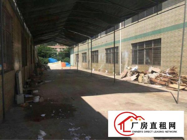 
		惠阳秋长原房东钢构2700平，滴水7米。
	