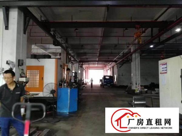 
		秋长新出标准1800平标准厂房
	