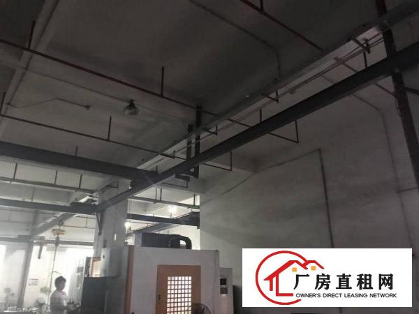 
		秋长新出标准1800平标准厂房
	
