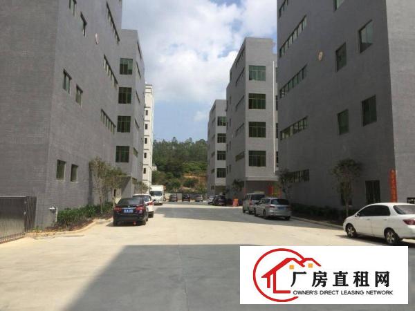 
		惠州秋长维布标准厂房(三楼)1200平方，精装修
	