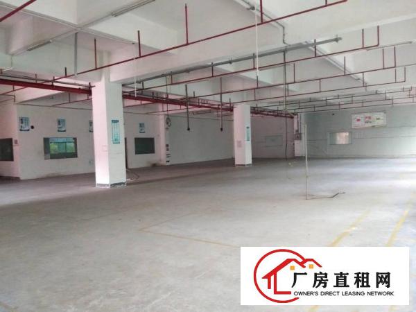 
		惠州秋长维布标准厂房(三楼)1200平方，精装修
	