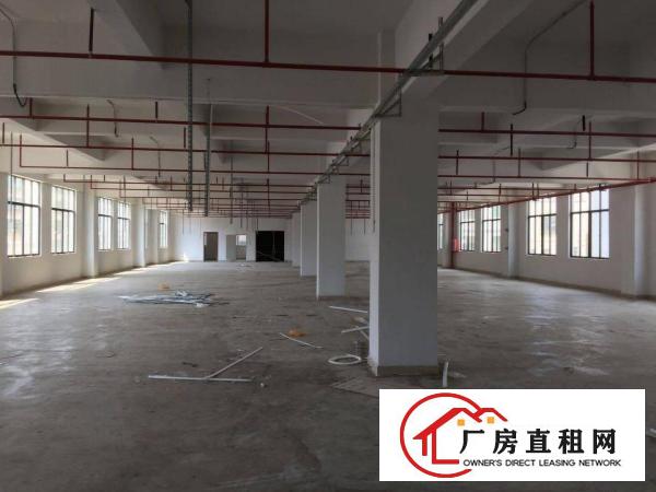 
		惠州秋长维布标准厂房(三楼)1200平方，精装修
	