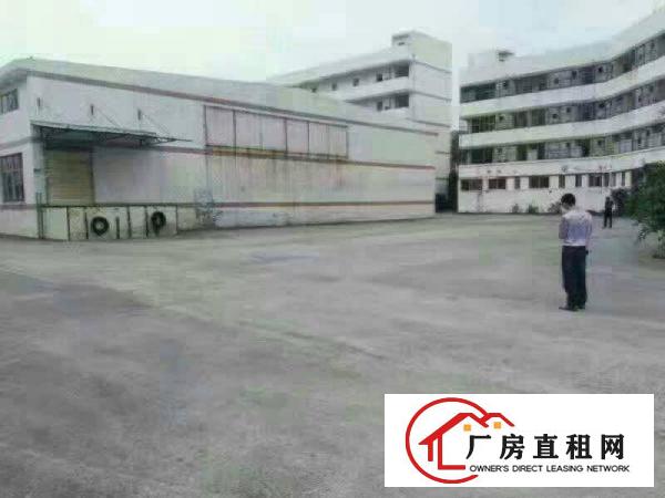
		惠阳秋长西湖原房东钢构厂房5000平米，11元招租
	