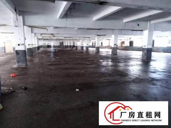 
		惠阳秋长工业园楼上带喷油环评证招租3900平可分租
	