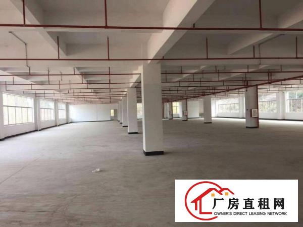 
		秋长主干道旁标准一楼600平出租
	