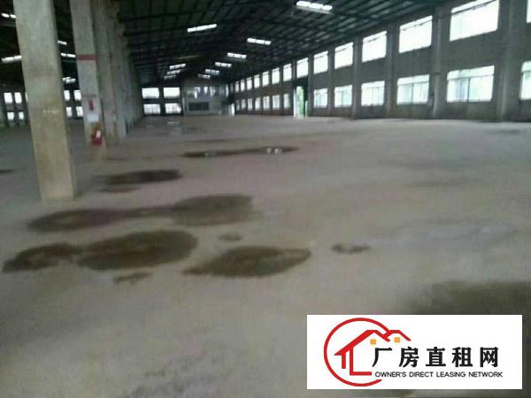
		惠阳秋长50400平钢构大小分租
	