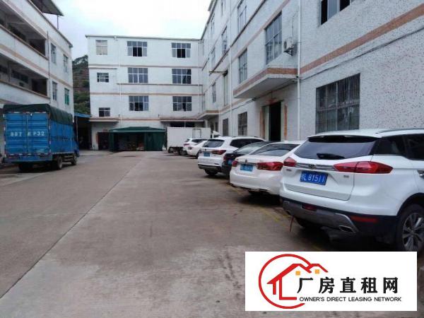 
		秋长白石三楼950原房东无公摊厂房出租13
	