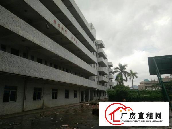 
		惠阳秋长原房东独院厂房14779平米可明包
	