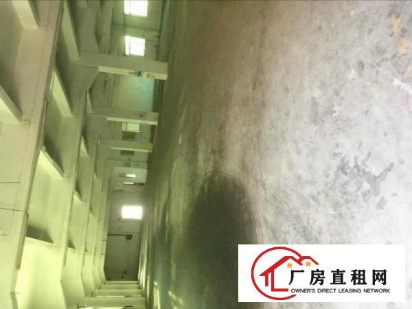 
		惠阳秋长独院厂房约1万平出租
	