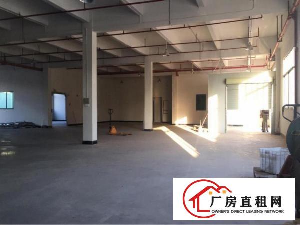 
		惠阳秋长单一层厂房，带红本消防
	