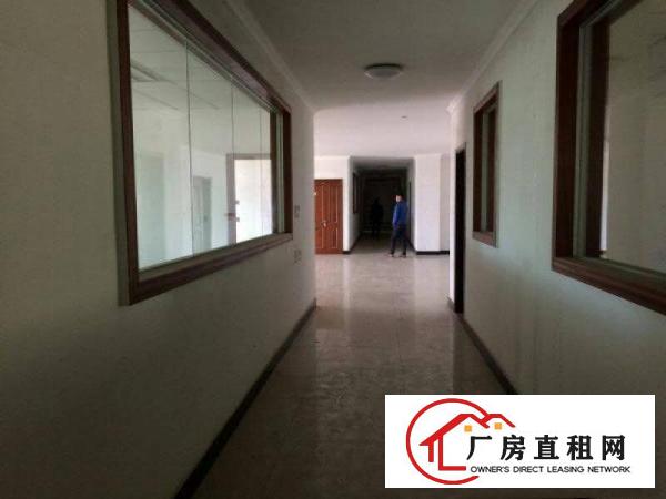 
		大亚湾新出形象好院子大绿化高独院厂房可分租
	
