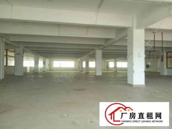 
		大亚湾新出形象好院子大绿化高独院厂房可分租
	