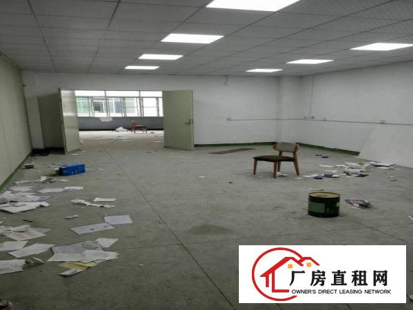 
		靓盘大亚湾新出工业园2楼1200平代装修
	