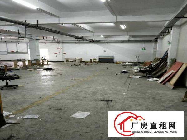 
		靓盘大亚湾新出工业园2楼1200平代装修
	
