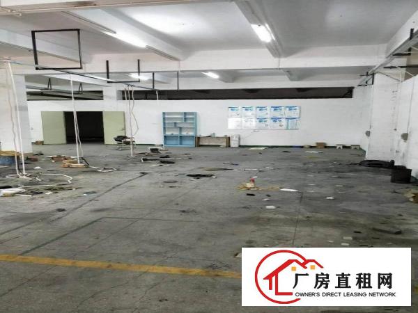 
		靓盘大亚湾新出工业园2楼1200平代装修
	