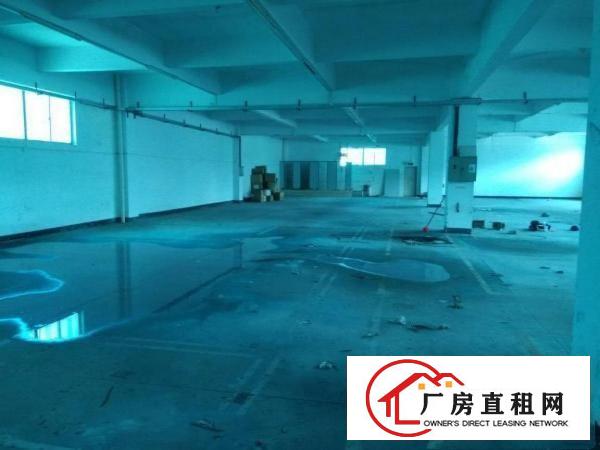 
		惠州大亚湾新出独栋标准厂房17000平方，精装修
	