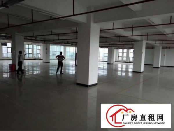 
		大亚湾西区新出2楼2300平方白菜价出租
	