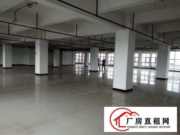 
		大亚湾西区新出2楼2300平方白菜价出租
	
