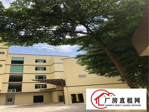 
		大亚湾便宜厂房2楼12块钱1200平方出租
	
