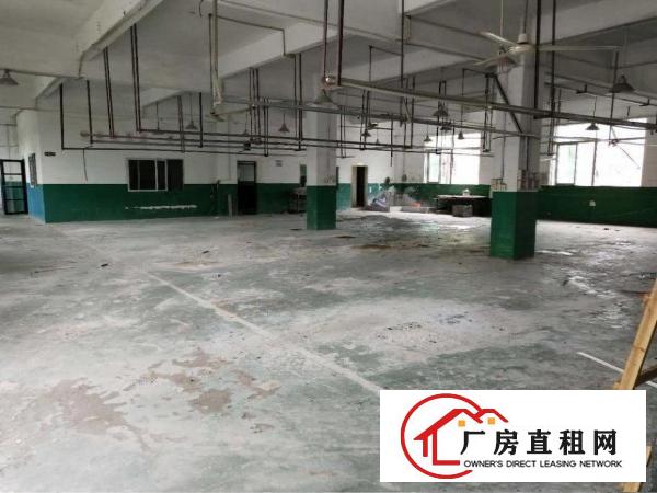 
		大亚湾便宜厂房2楼12块钱1200平方出租
	
