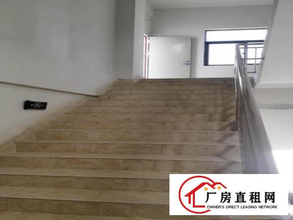 
		出租惠州大亚湾西区厂房可分租中介勿扰
	