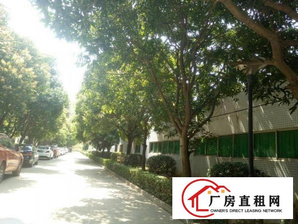 
		大亚湾新出花园式大空地原房东单一层厂房
	
