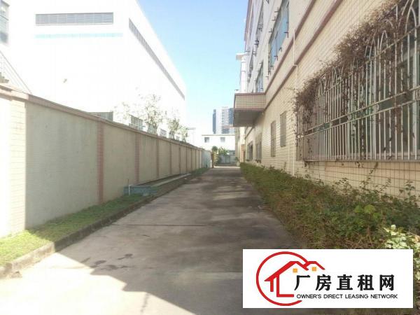 
		大亚湾西区新出花园式原房东独院红本厂房院子超大
	