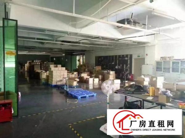 
		大亚湾2万平米原房东标准厂房招租
	
