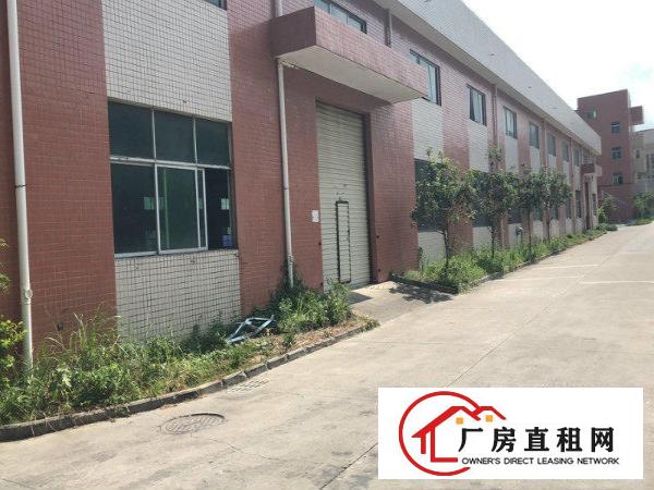 
		大亚湾新出原房东独院厂房9800平带精装修办公室
	