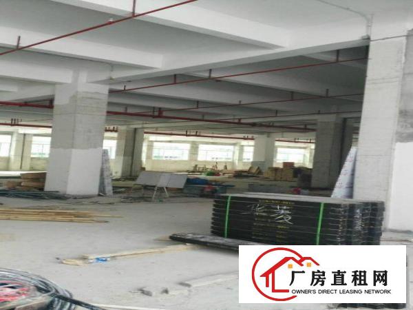 
		大亚湾全新新亿科技园整体、分层、分栋出租
	