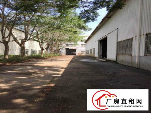 
		大亚湾独门独院15米高单层厂房11000平方米招租
	