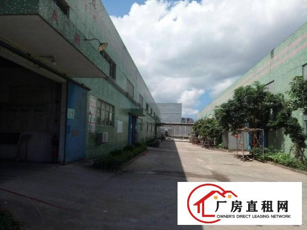 
		大亚湾单一层4300M2、三楼1400M2业主直租
	