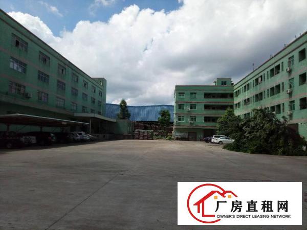 
		大亚湾单一层4300M2、三楼1400M2业主直租
	
