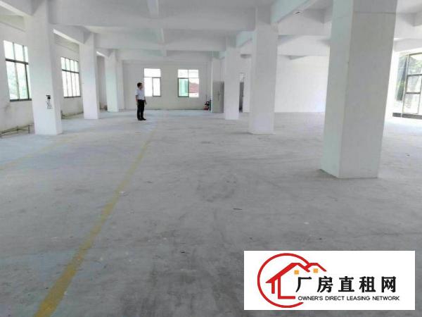 
		大亚湾西区工业园全新标准厂房二楼600平米招租
	
