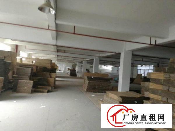 
		靓盘！（新出单一层）大亚湾带装货平台4300厂房
	