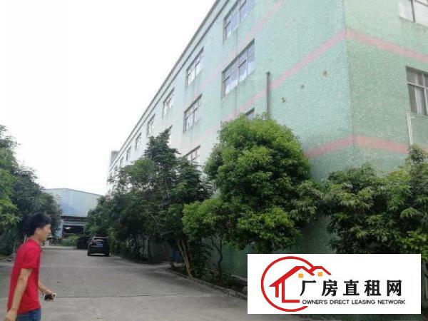 
		靓盘！（新出单一层）大亚湾带装货平台4300厂房
	