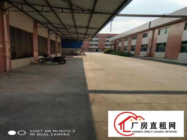
		独门独院！带卸货平台！大亚湾钢构楼房出租
	