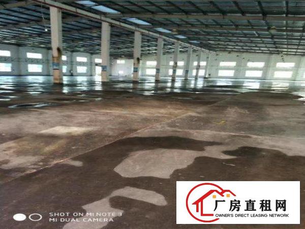 
		独门独院！带卸货平台！大亚湾钢构楼房出租
	