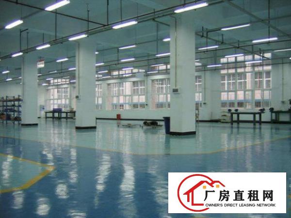 
		大亚湾比亚迪附近红本工业园二万五平方急租
	