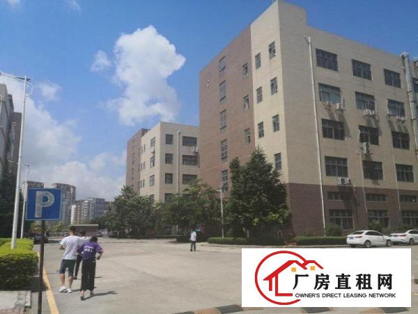 
		大亚湾新出12000带喷淋消防厂房招租，一楼6米
	