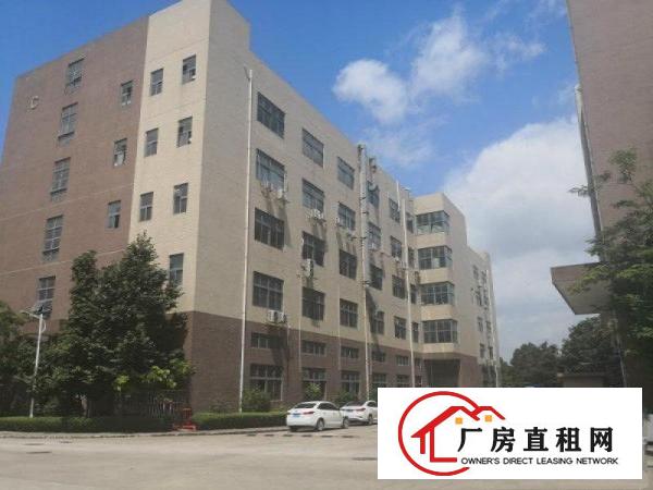 
		大亚湾新出12000带喷淋消防厂房招租，一楼6米
	