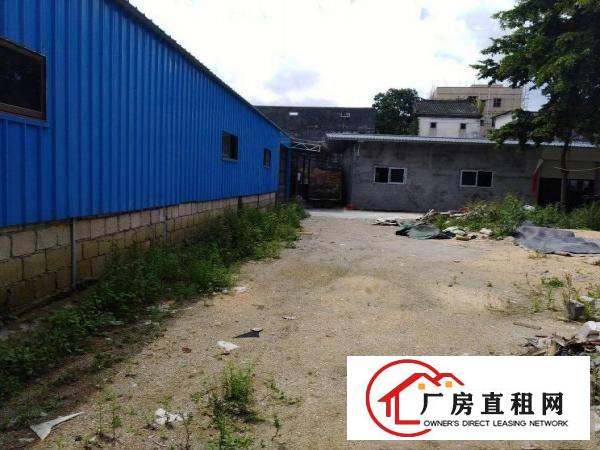 
		原房东独院1000平带宿舍食堂空地500平三相电
	