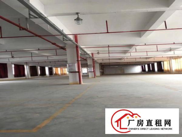 
		大亚湾独院厂房，9000带现成装修
	