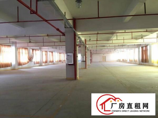 
		大亚湾独院厂房，9000带现成装修
	