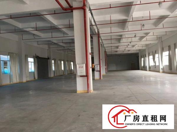 
		大亚湾独院厂房，9000带现成装修
	